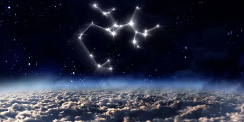 Nhân mã có hay nhảy việc không